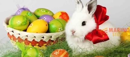 Pasqua