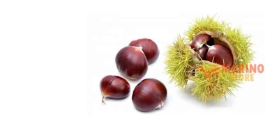 Castagne