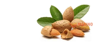 Mandorle