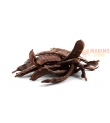 Carrube intere naturali 1Kg