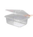 Contenitori trasparenti PET B1-250 cc pezzi 50