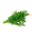 Foglie Di Aneto 1 Kg