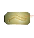 Forme gesso Gambero 68