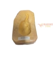 Forme gesso Melenzana 7A