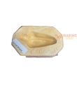 Forme gesso Peperoncino 50