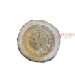 Forme gesso Riccio Di Mare