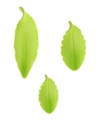 Foglie lanceolate di zucchero 5pz. (5 MOD)