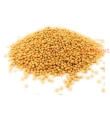 Semi DI Senape 1 Kg