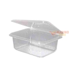 Immagine 0 di Contenitori trasparenti PET M1-H30 cc 800 pezzi 10
