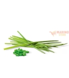Immagine 0 di Erba Cipollina 1 Kg