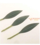 Immagine 0 di Foglie per Martorana Mandarino Art. 120 – Set 10 Pezzi