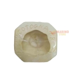 Immagine 0 di Forme gesso Mela Cotogna 63