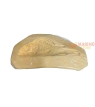 Immagine 0 di Forme gesso Scorfano 90