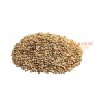 Immagine 0 di Legumi biologici lenticchie mignon Italia da 1 Kg
