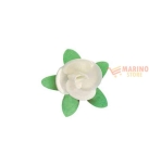 Immagine 0 di Rose bianche con foglie pz 200