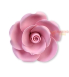 Immagine 0 di Rose mini Rosa D 3 waffer pz 12