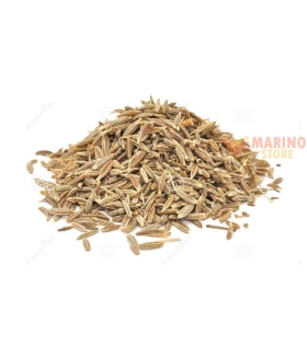 Cumino di Malta in Semi (camun) 1 Kg