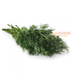 Finocchietto Selvatico Secco 1 Kg