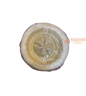 Forme gesso Riccio Di Mare