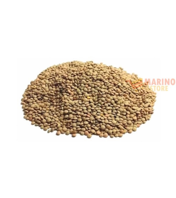 Immagine 0 di Legumi biologici lenticchie mignon Italia da 1 Kg