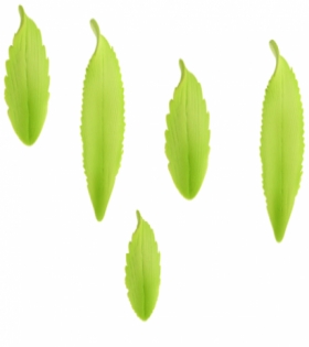 Foglie lanceolate di zucchero 5pz. (5 MOD)